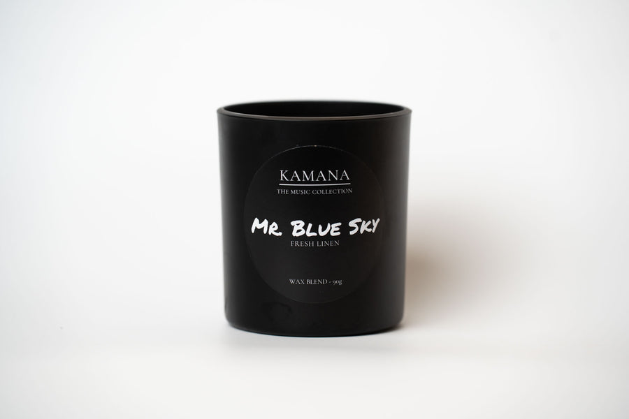 Mr. Blue Sky