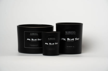 Mr. Blue Sky