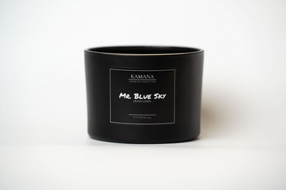 Mr. Blue Sky