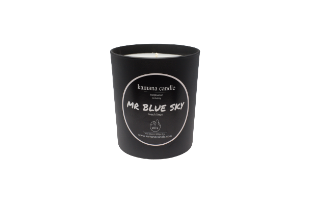 Mr. Blue Sky